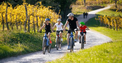 Ouders met kinderen fietsen op een e-bike in de natuur